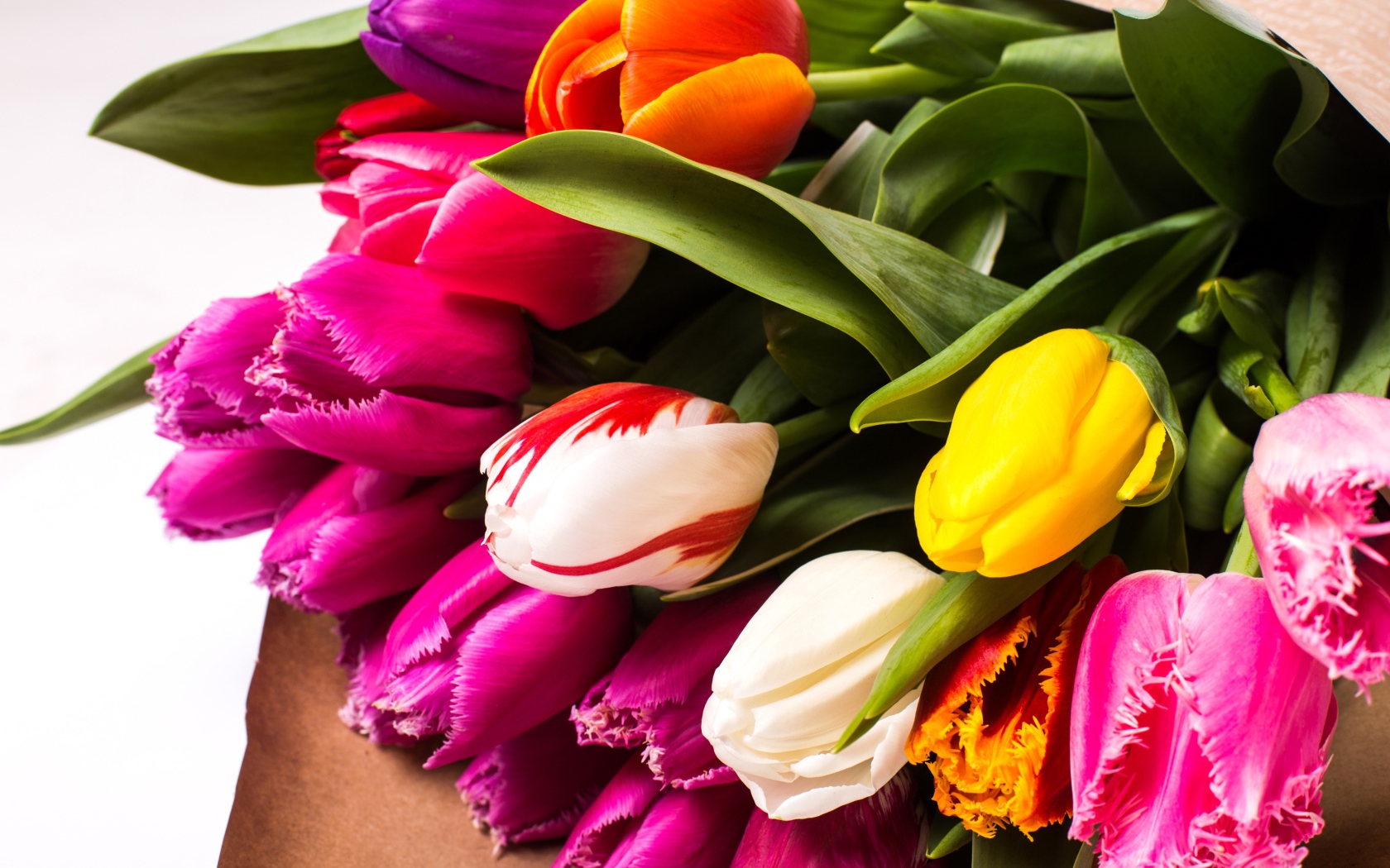 Красивый букет разноцветных тюльпанов крупных планом
