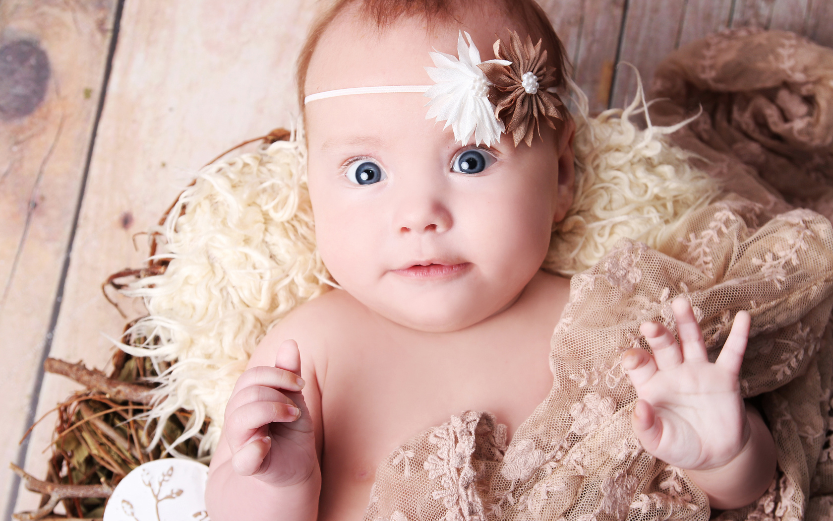 Удивленная голубоглазая новорожденная девочка 