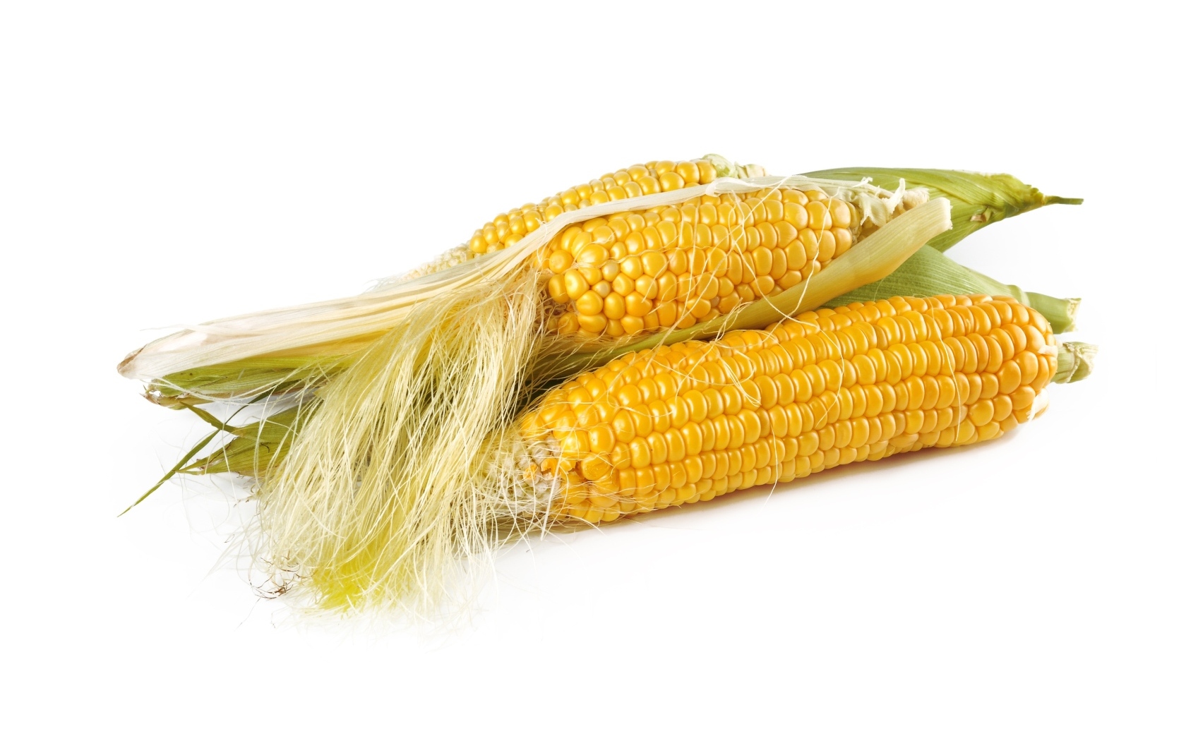 Желтые початки кукурузы на белом фоне