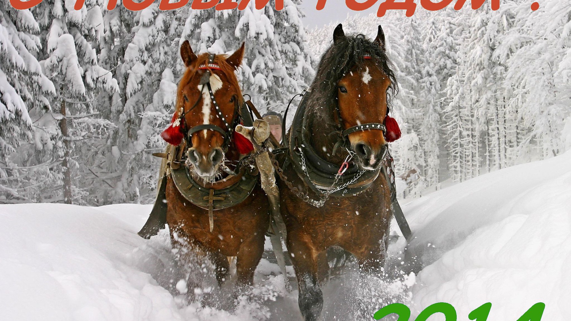 С новым годом 2014, лошадки бегут по снегу