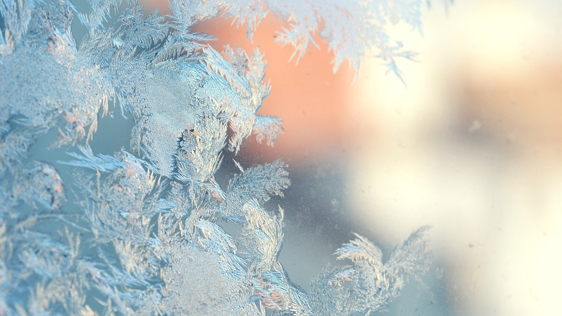 Pattern, Glass , ice, Icey Desktop wallpapers 1920x1080