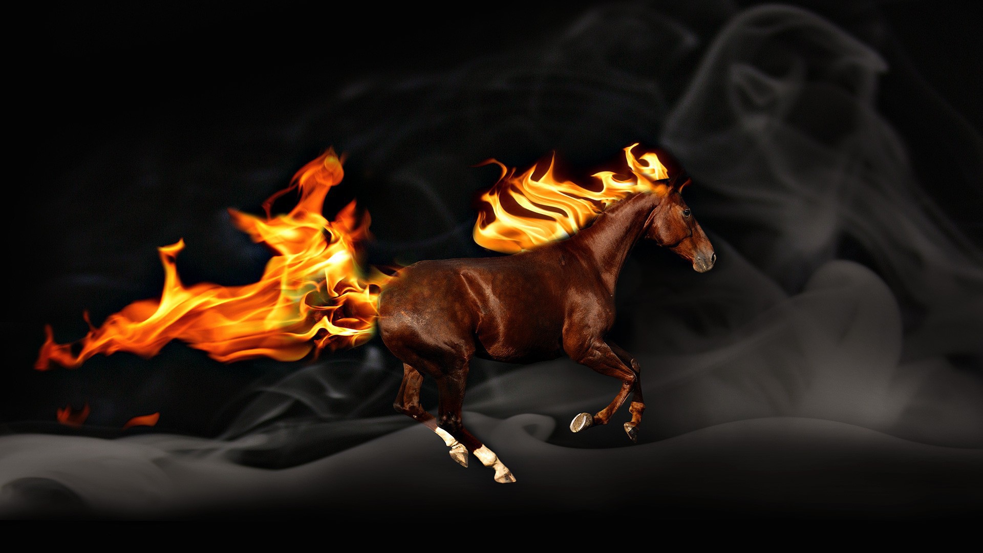 The horse with a fiery mane