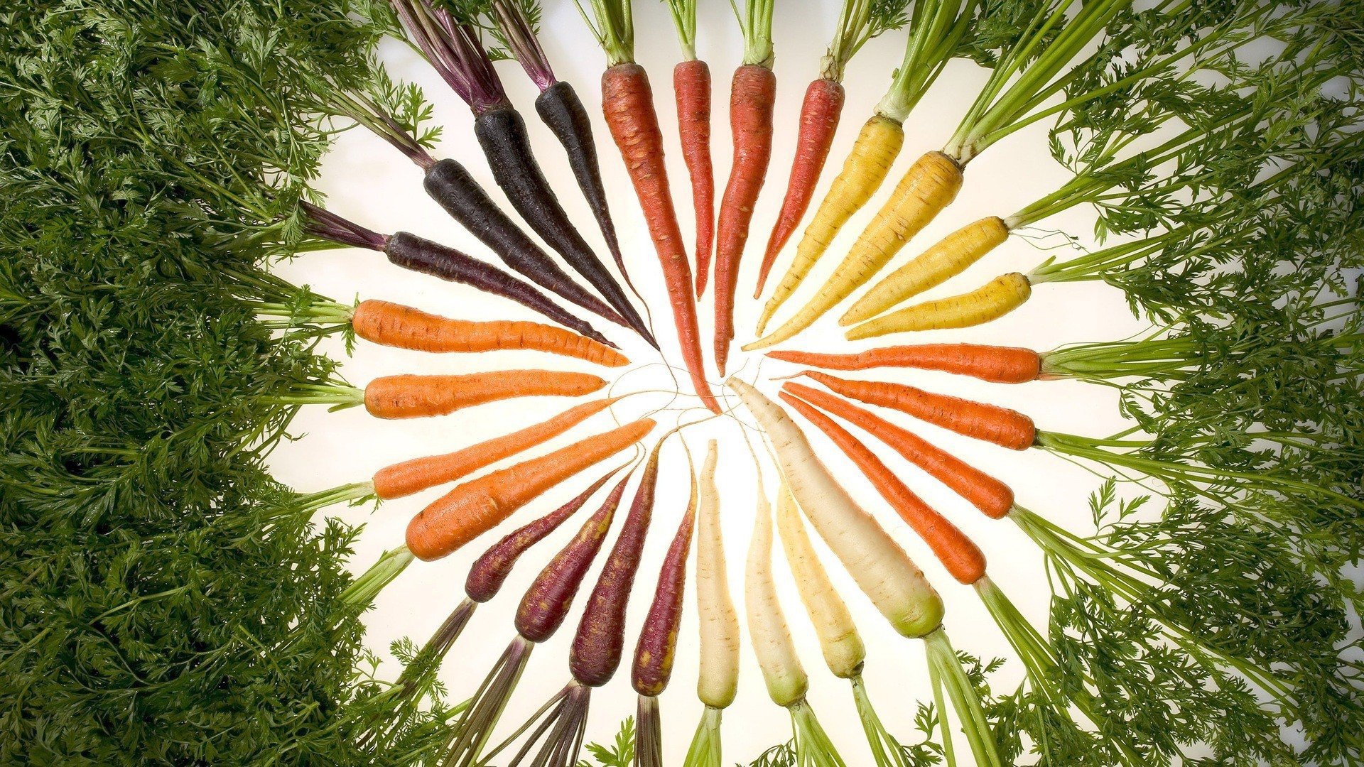 Набор моркови разного цвета