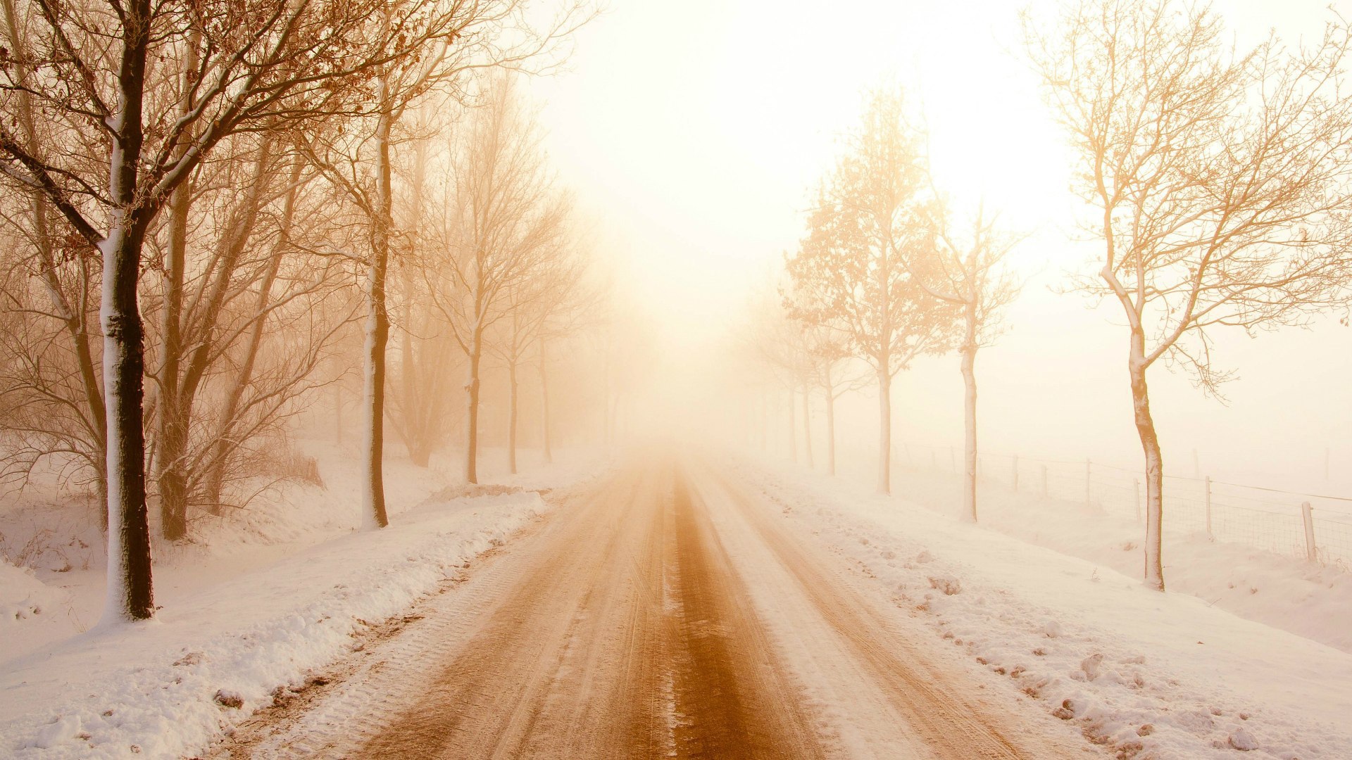 Туман на зимней дороге