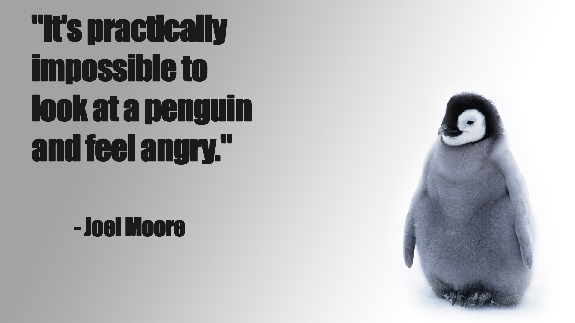 You can not look at the penguins and be evil