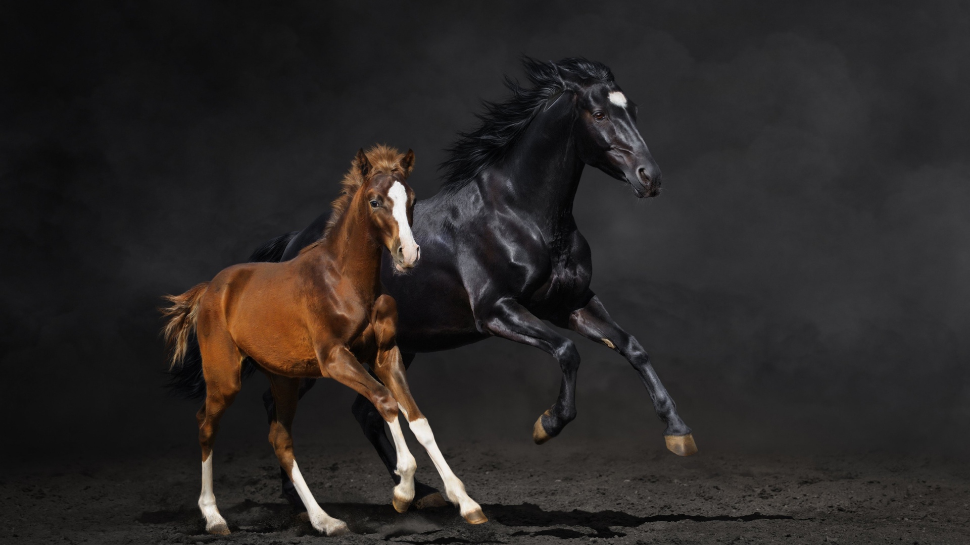 Две бегущие лошади 
