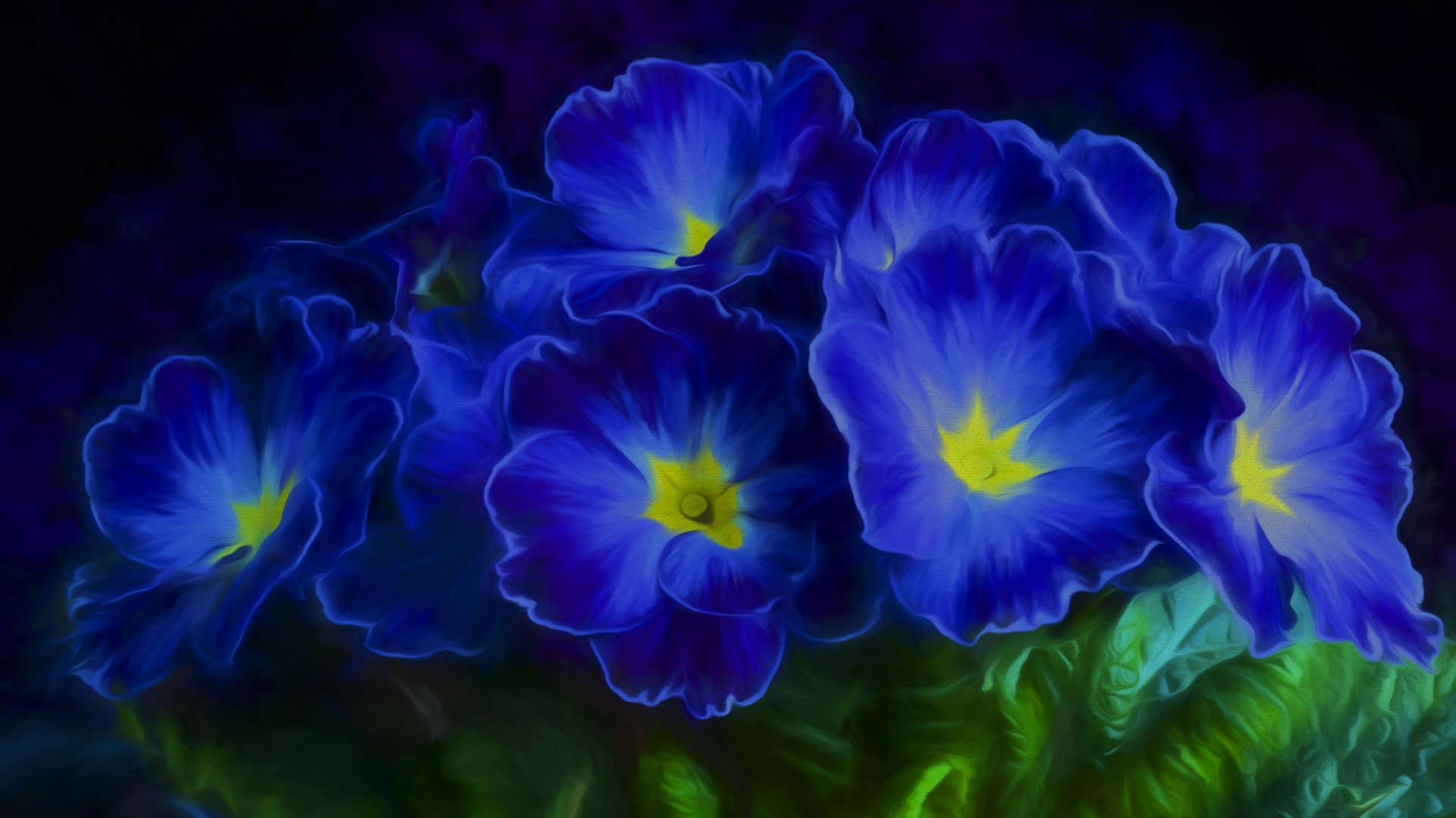 Синие цветы примула 