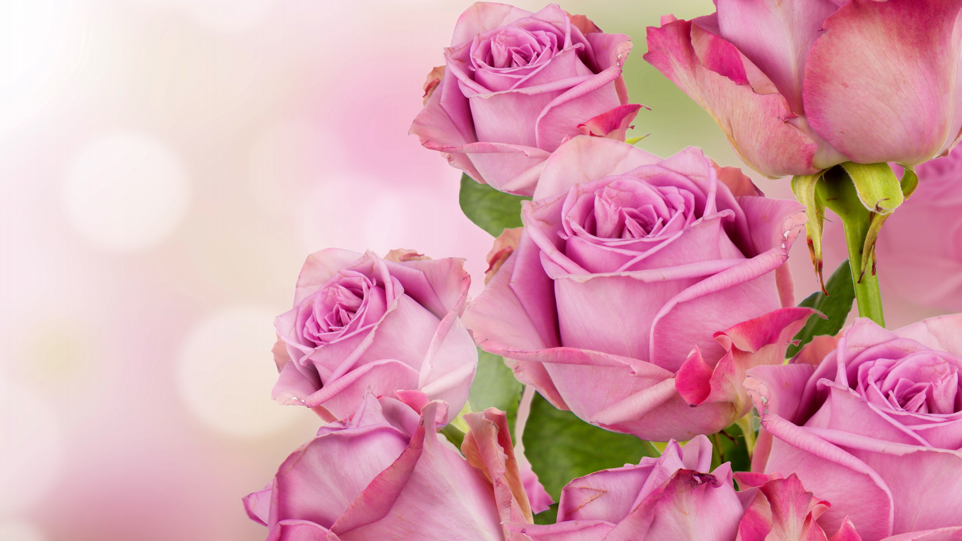 Букет красивых розовых роз 