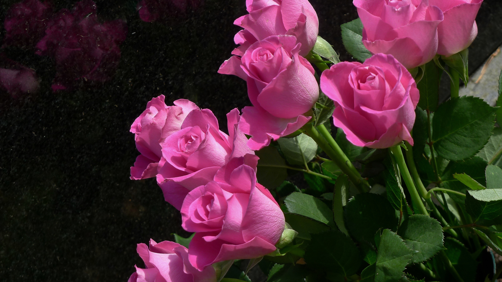 Букет красивых розовых роз крупным планом