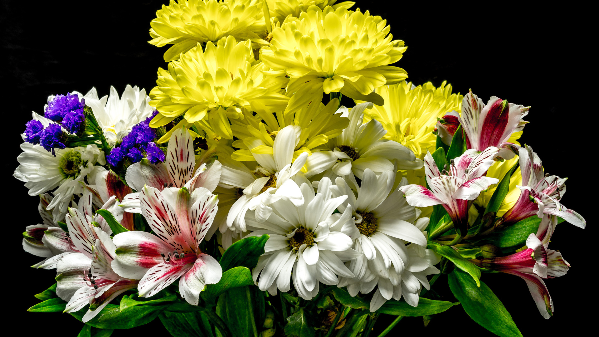Букет разноцветных хризантем с цветами альстромерия на черном фоне