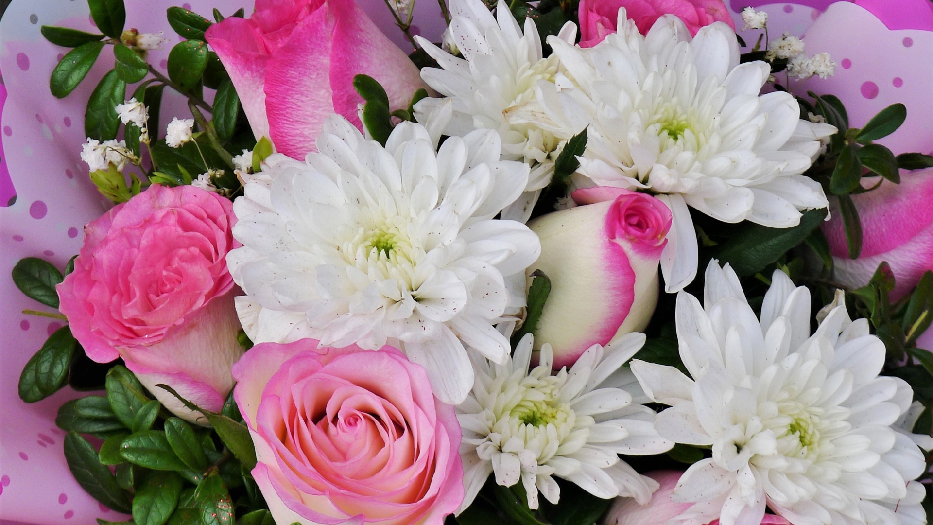Букет белых хризантем с розовыми розами