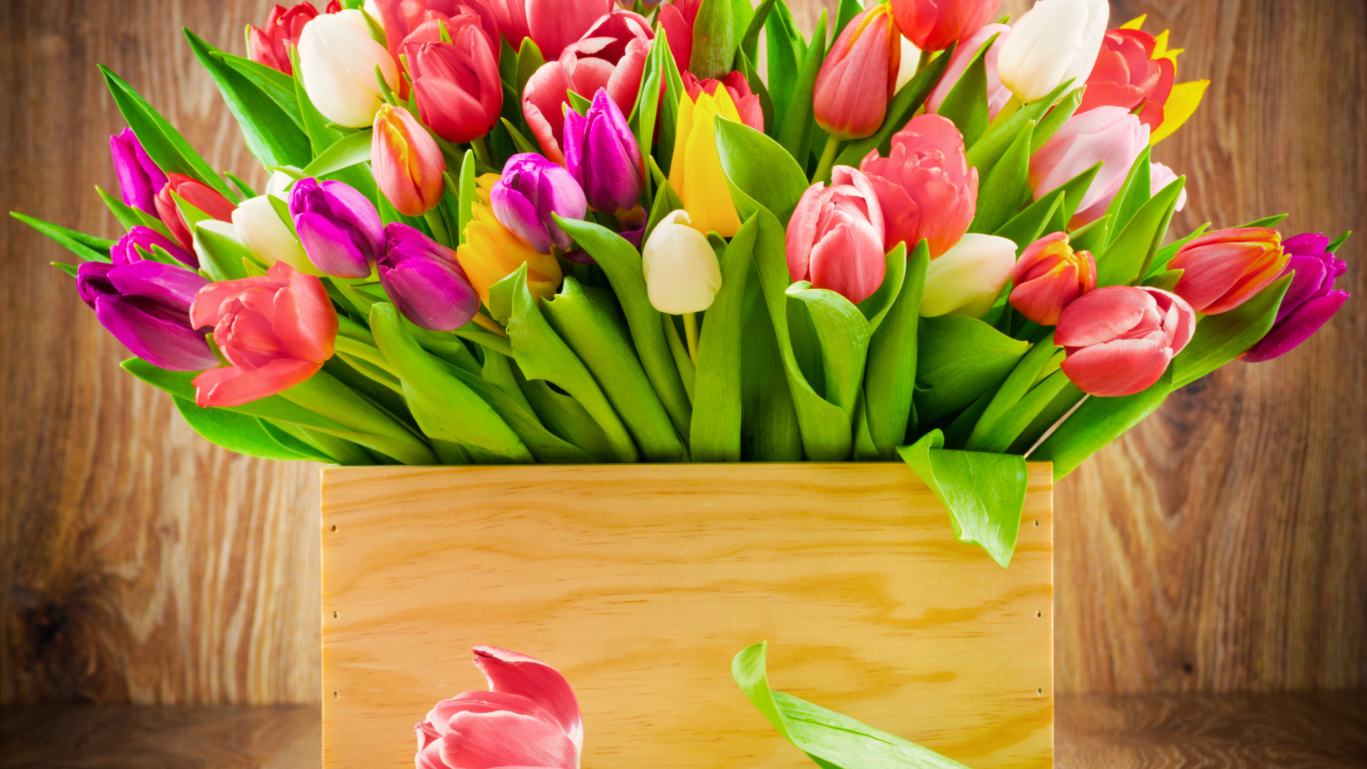 Деревянный ящик с разноцветными тюльпанами