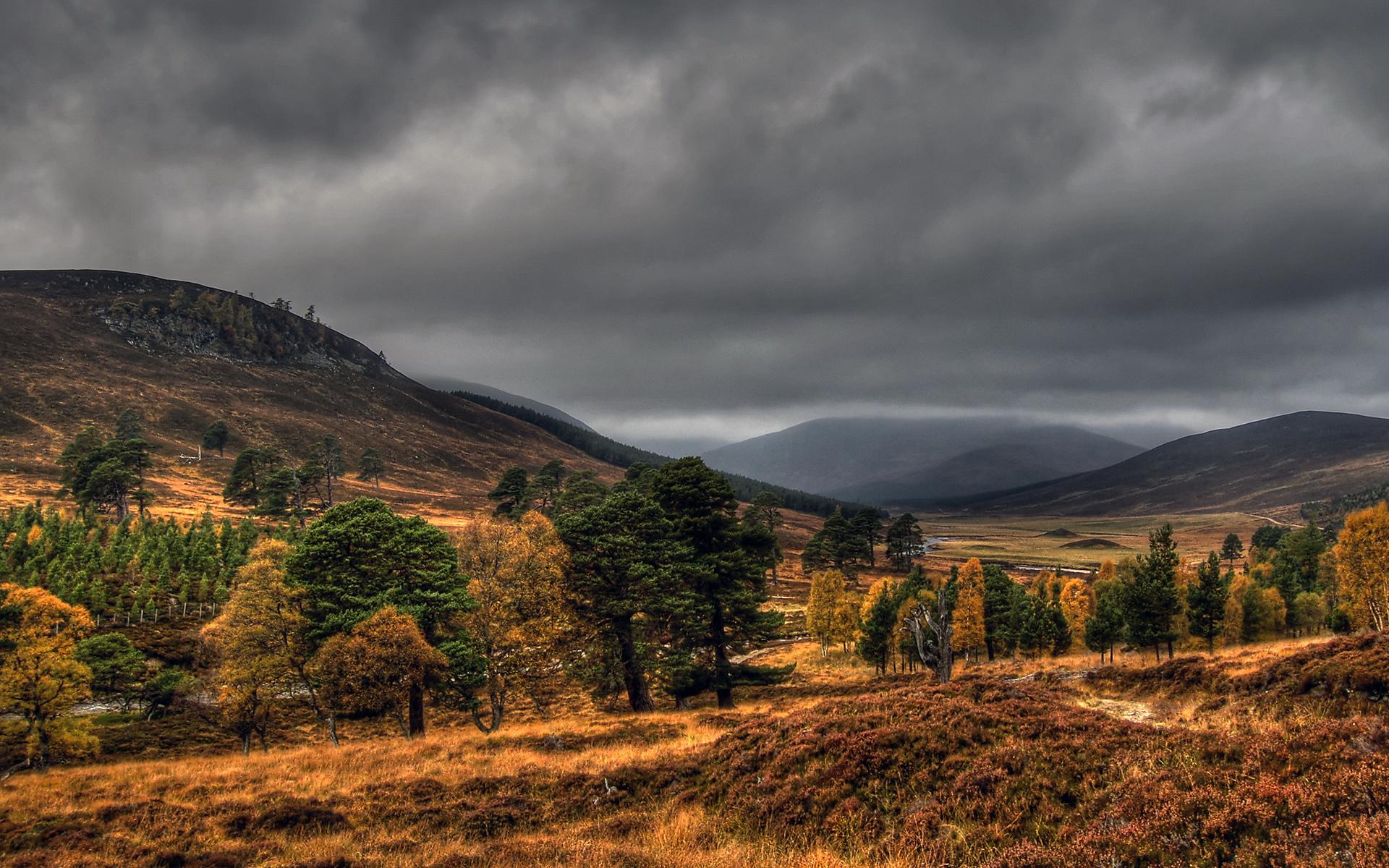 Scotland Cairngorms