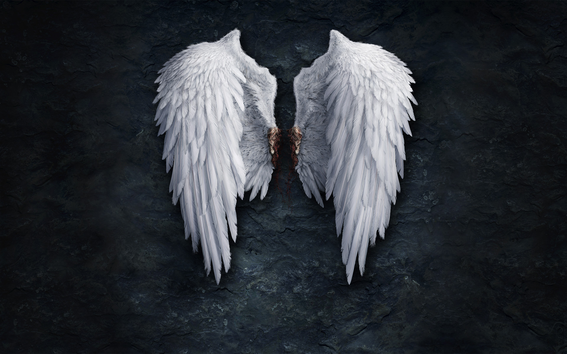 Angel Wings wallpapers and images - wallpapers, pictures, photos