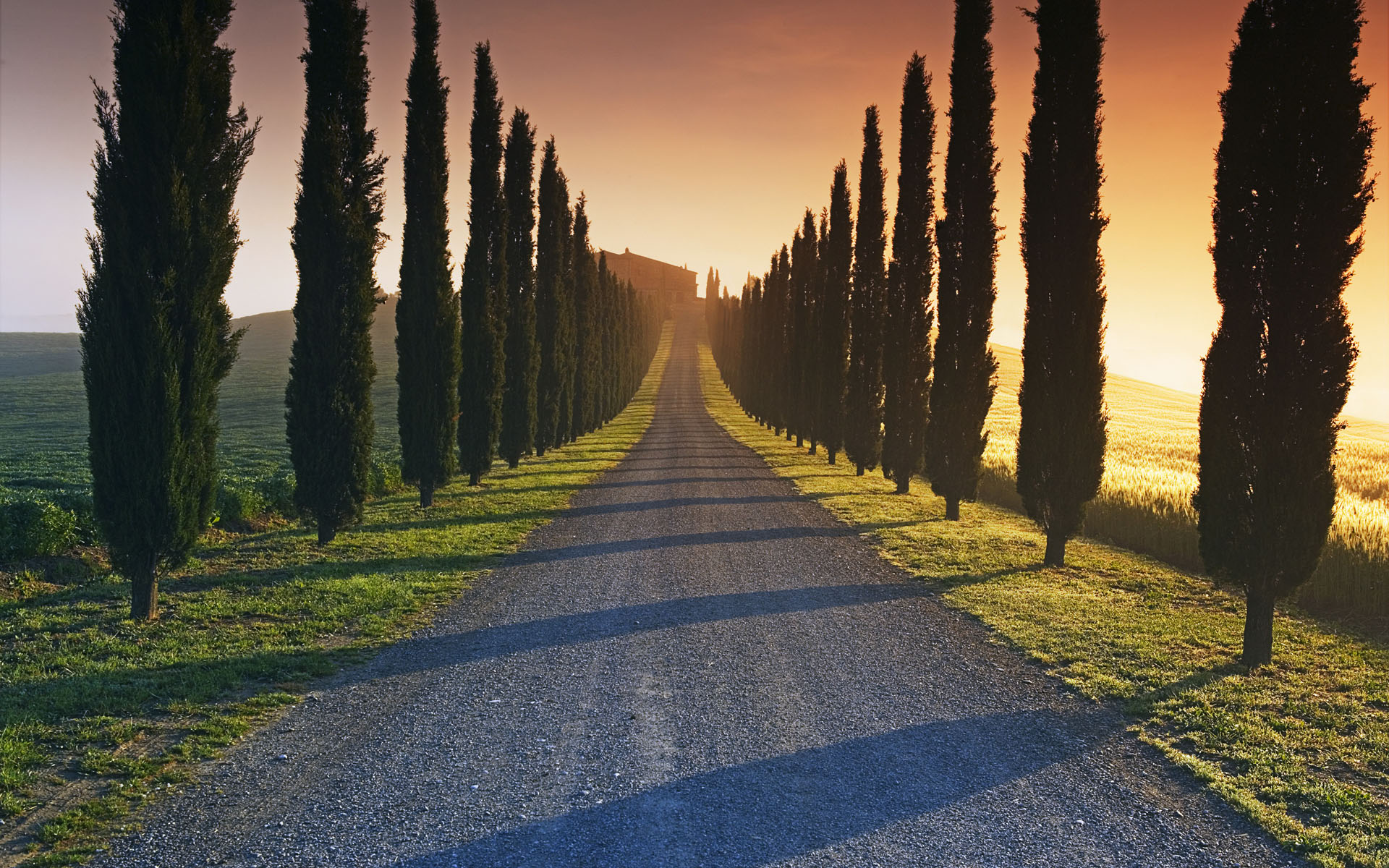 The road to the Italian estate wallpapers and images ...