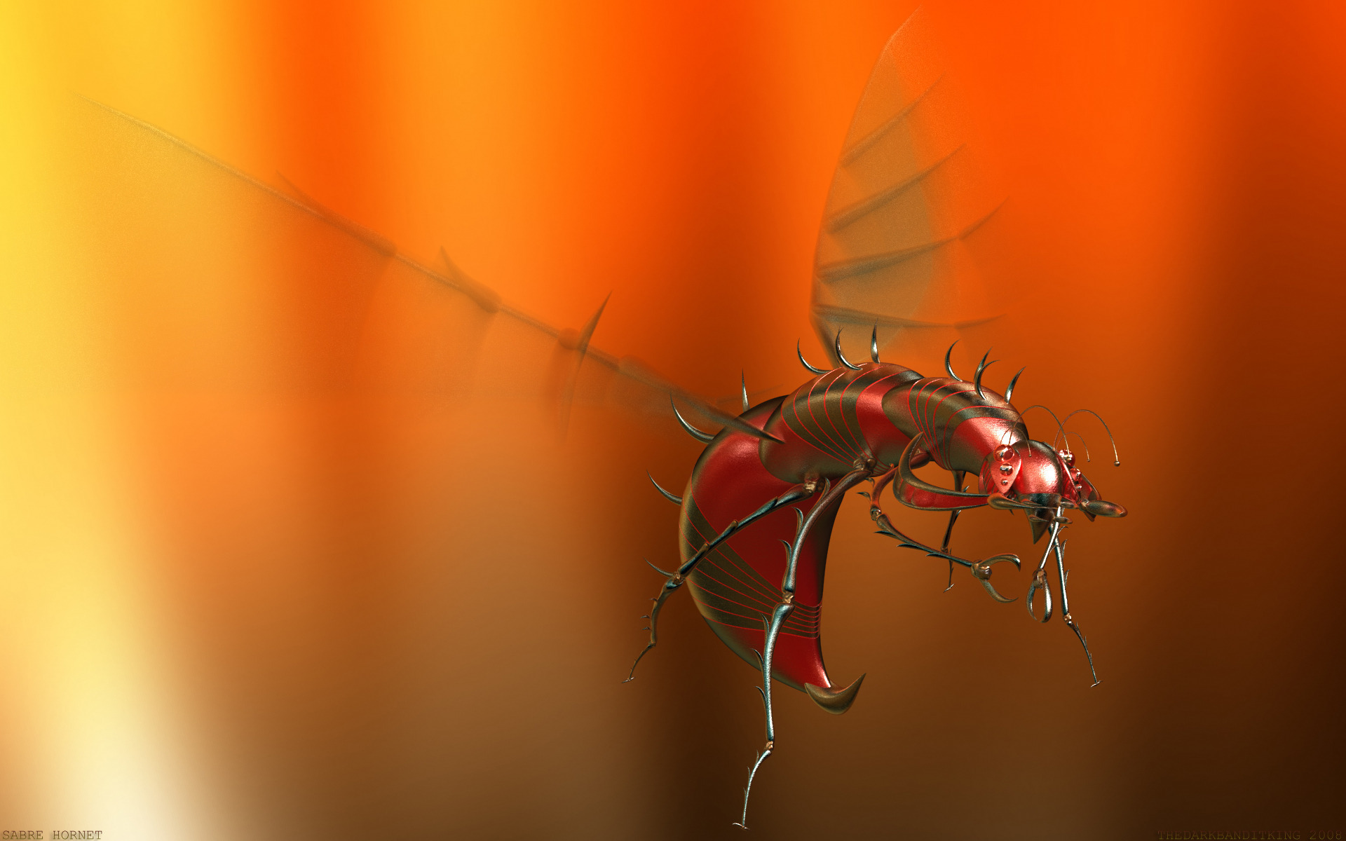 mosquito wallpapers and images - wallpapers, pictures, photos