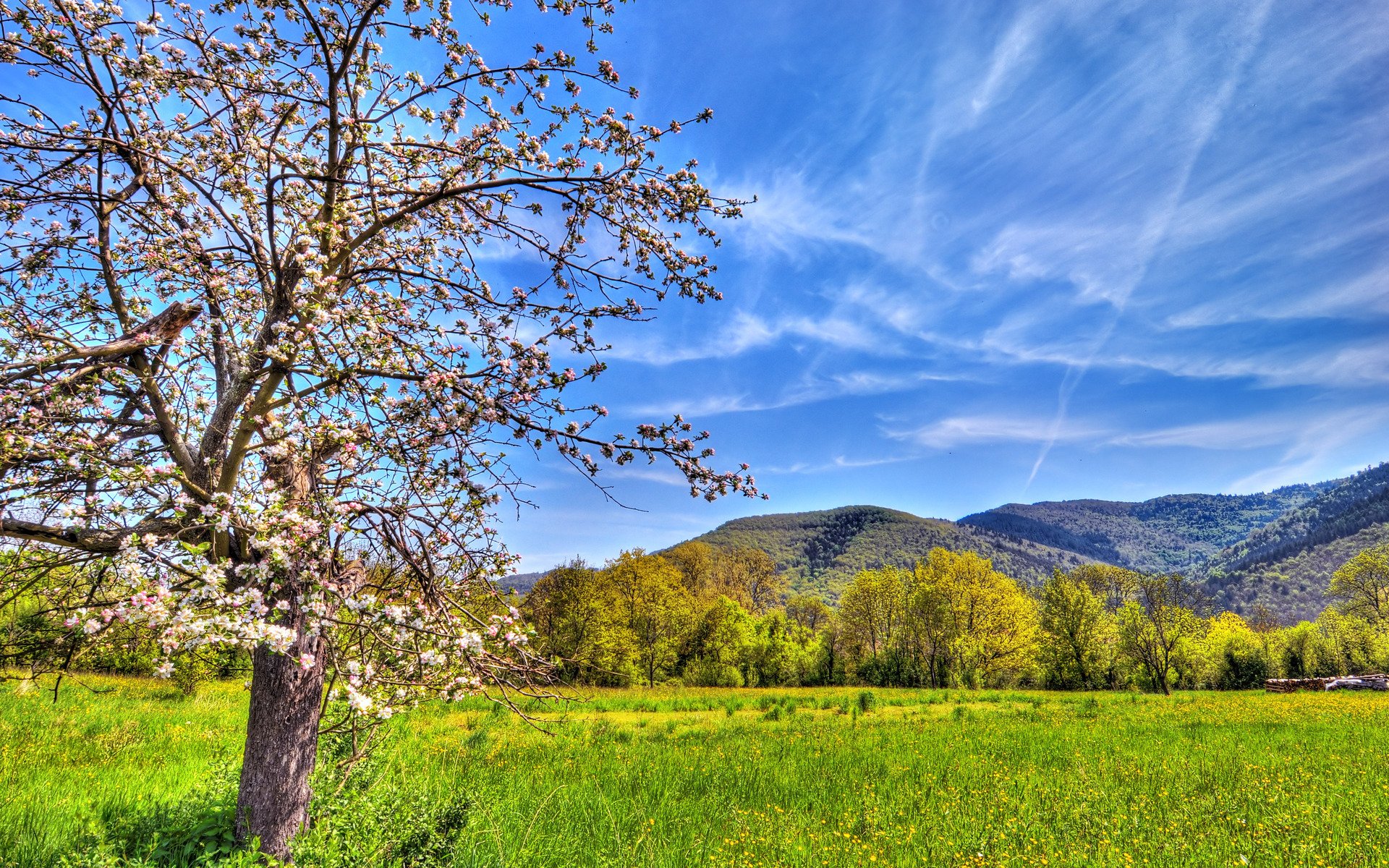 Spring landscape wallpapers and images - wallpapers, pictures, photos