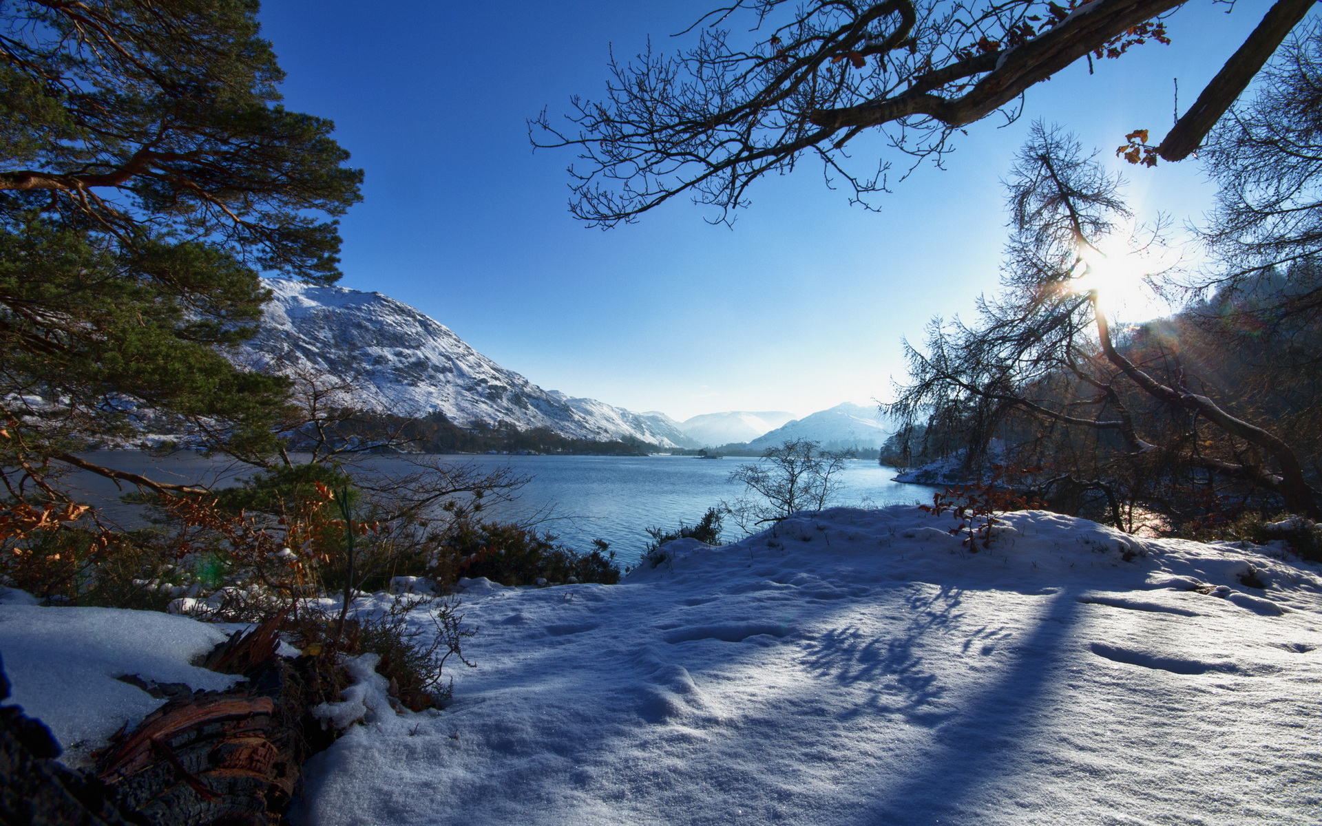 Winter Landscape wallpapers and images - wallpapers, pictures, photos
