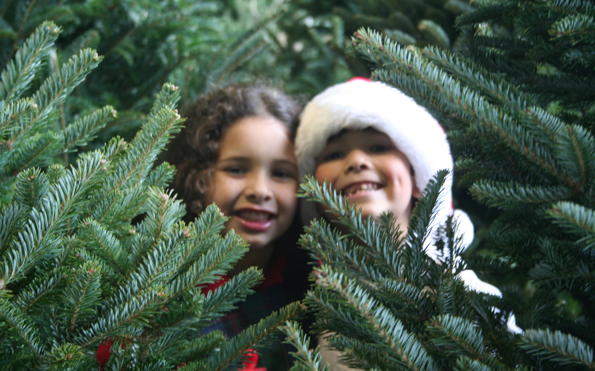 Дети у новогодней елки 2014
