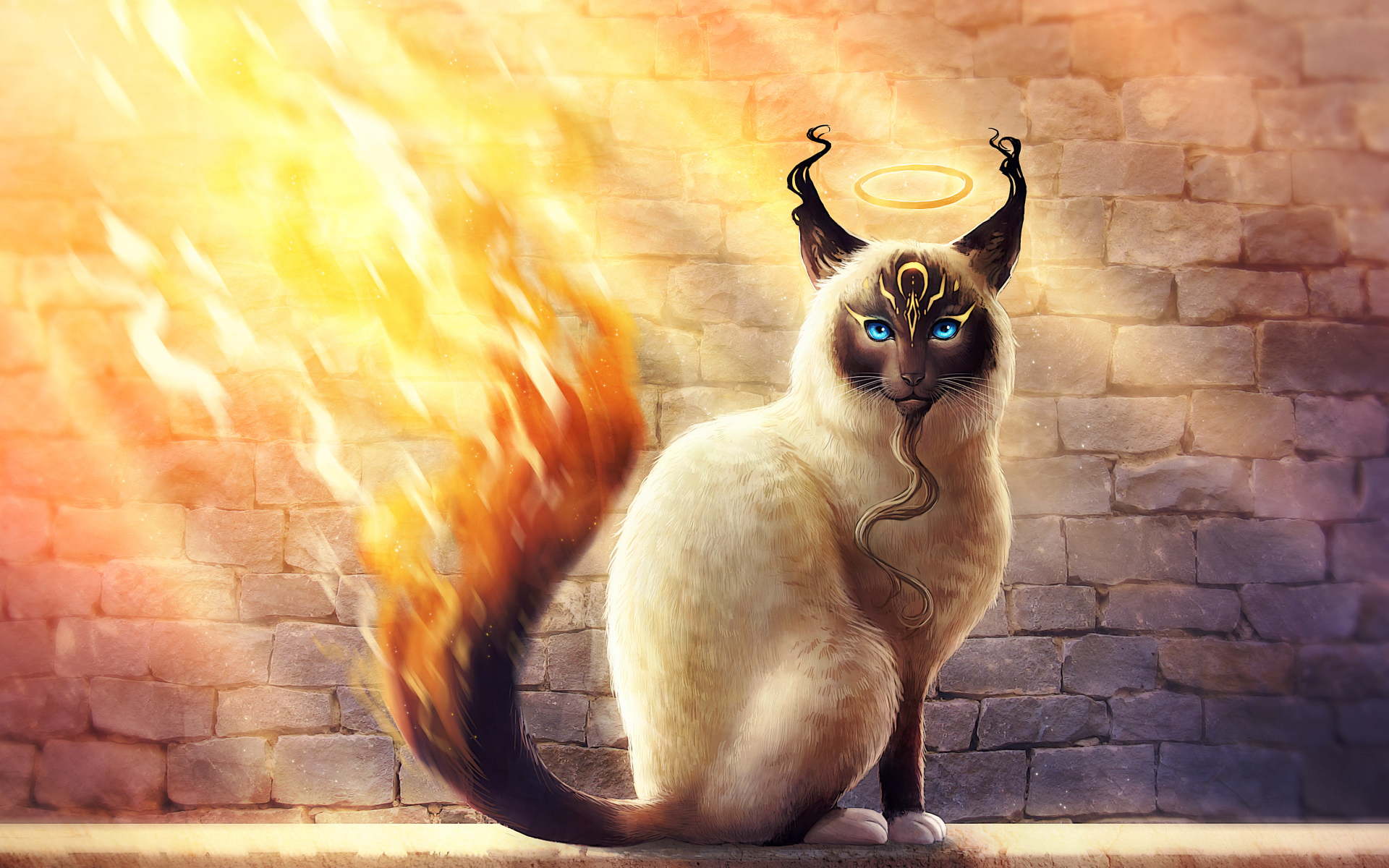 Магический кот с огненным хвостом, фэнтези