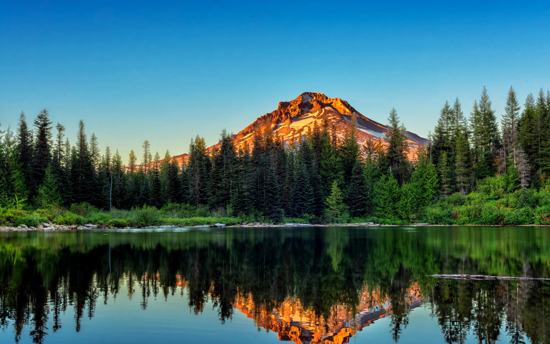 Pine forest and the mountain are reflected in the water, Yosemite National Park. California