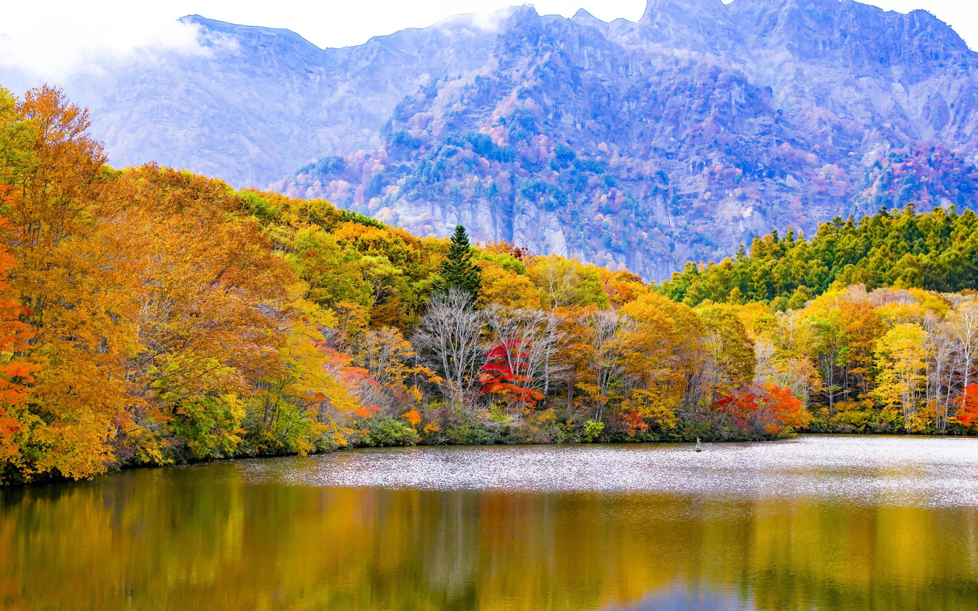 Осенний лес у озера на фоне горы, Япония