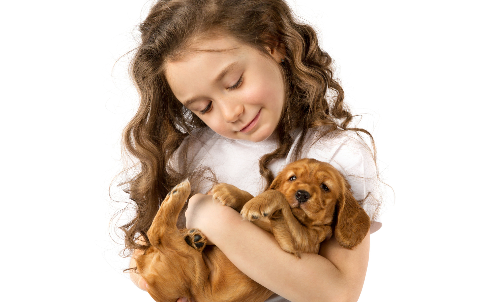 Маленькая девочка шатенка с маленьким щенком в руках на белом фоне