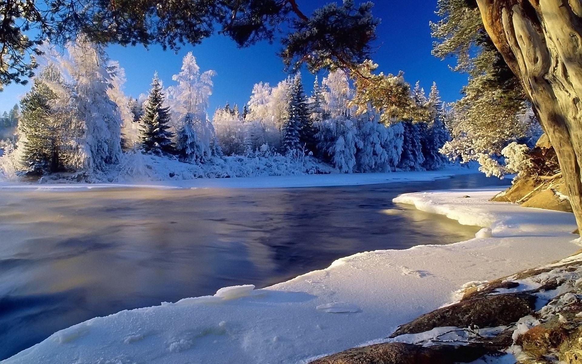 Река в зимнее время года