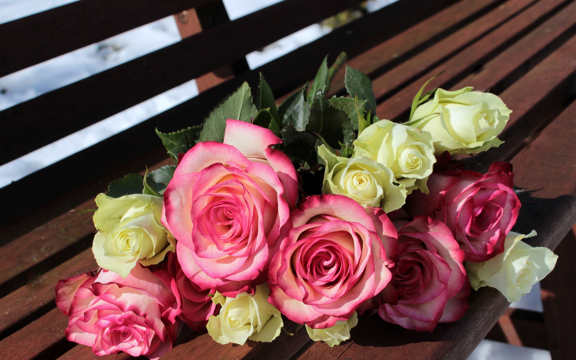Букет розовых и белых роз лежит на лавке в парке