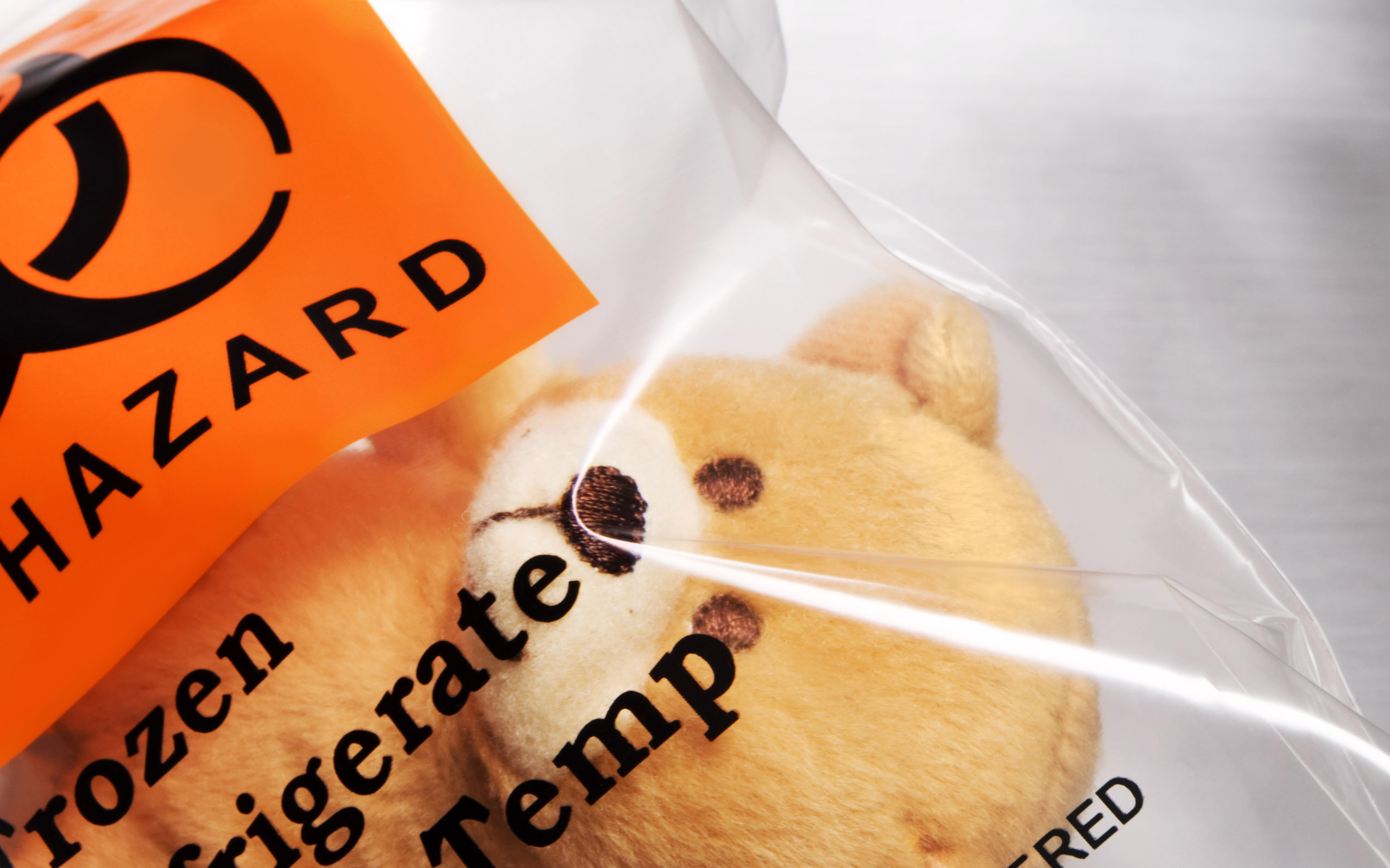 Dangerous teddy bear wallpapers and images wallpapers, pictures, photos