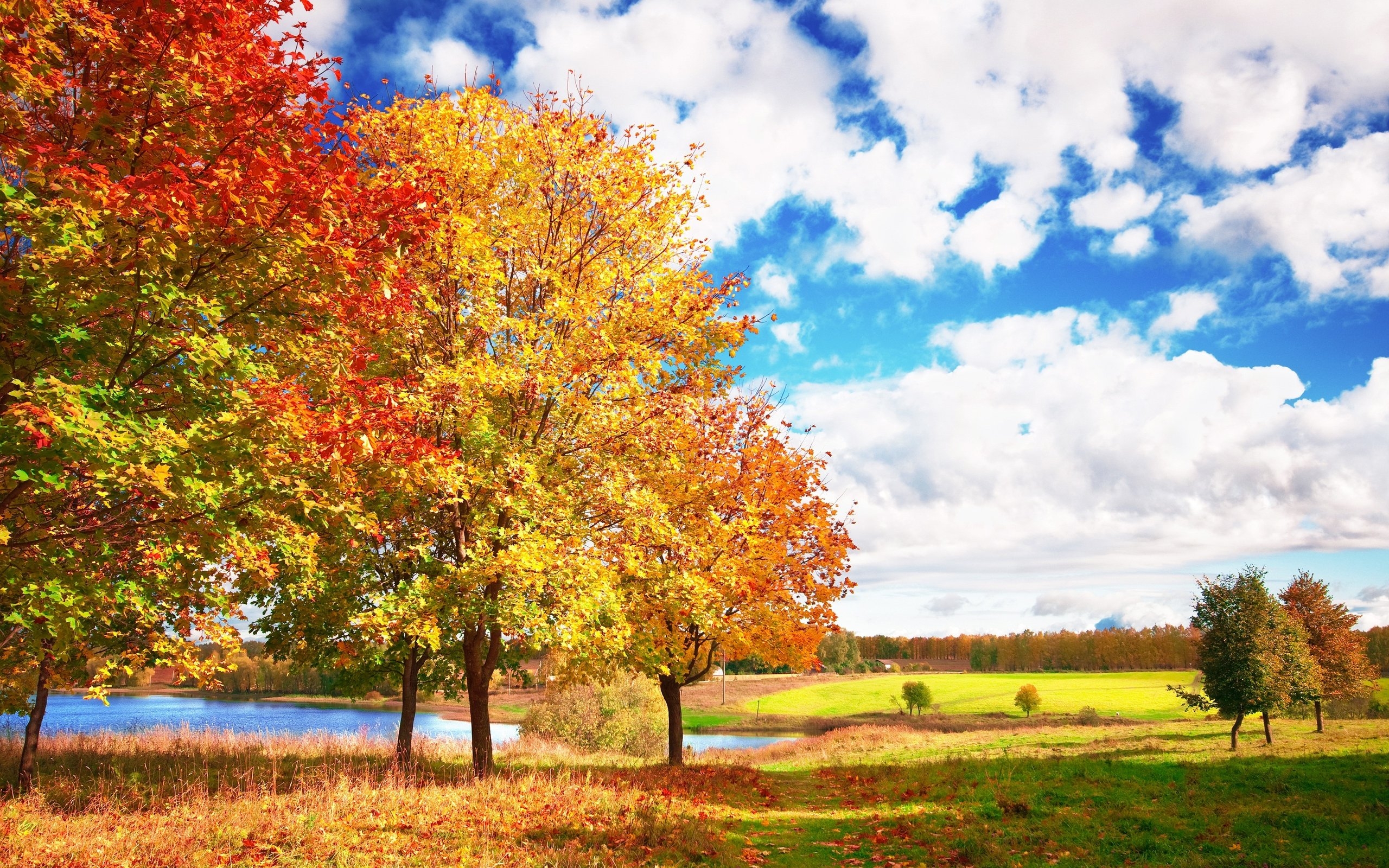 Autumn Landscape wallpapers and images - wallpapers ...