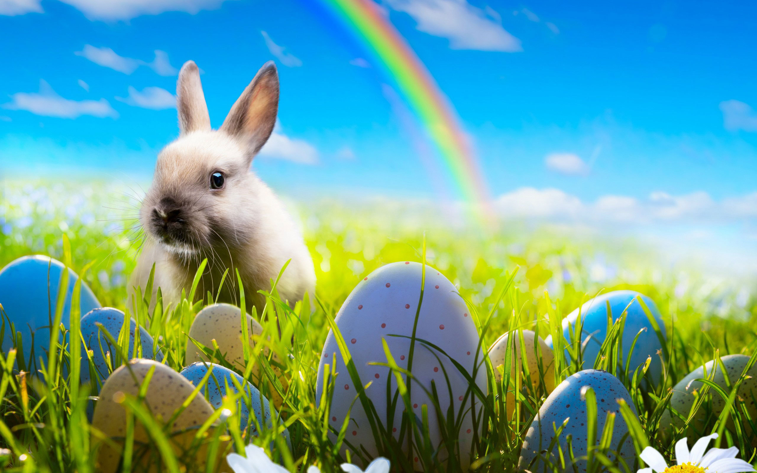 Rabbit on a rainbow background on Easter