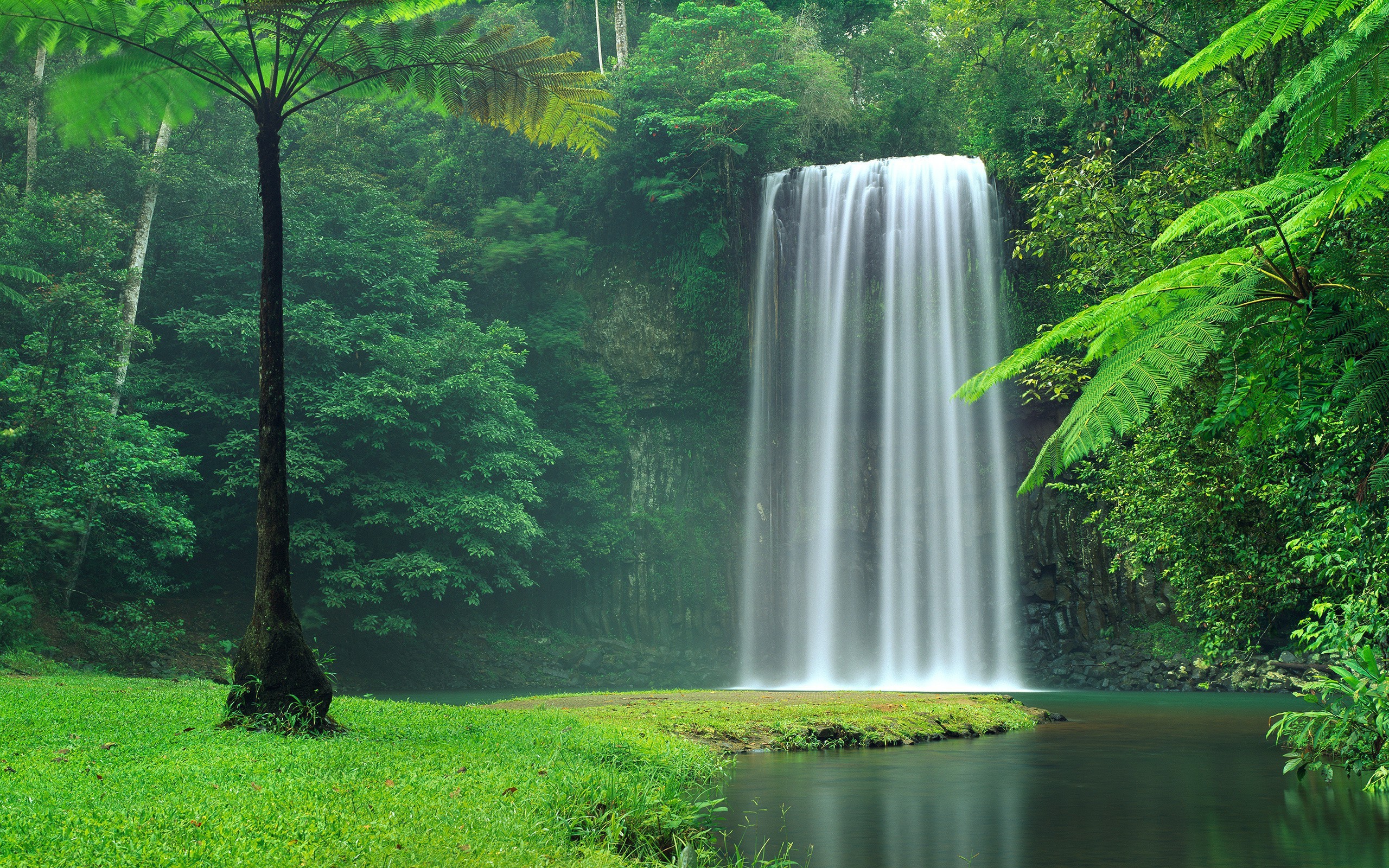 Живописный водопад между зеленых деревьев 