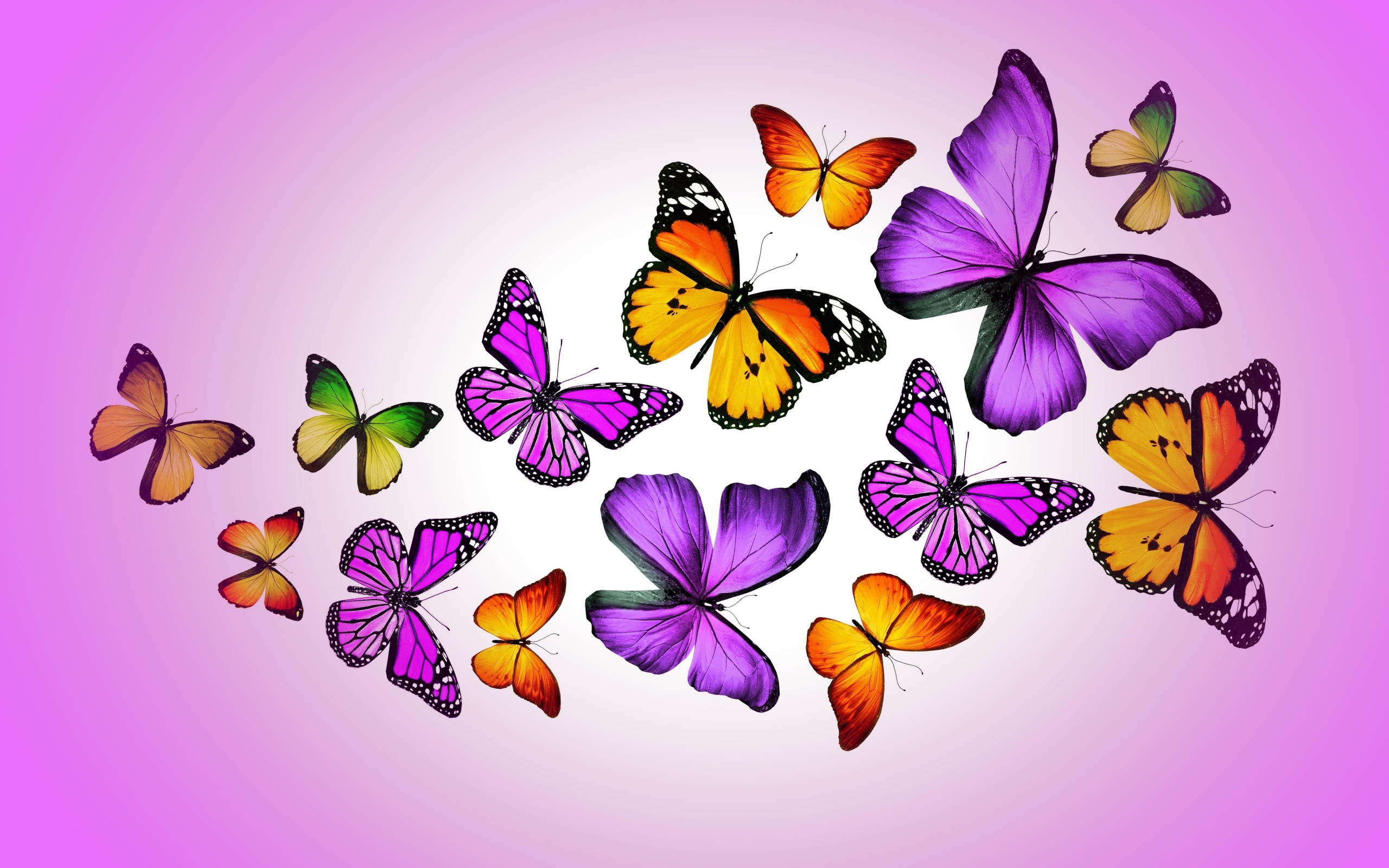 Many multicolored butterflies on a lilac background, 3d graphics