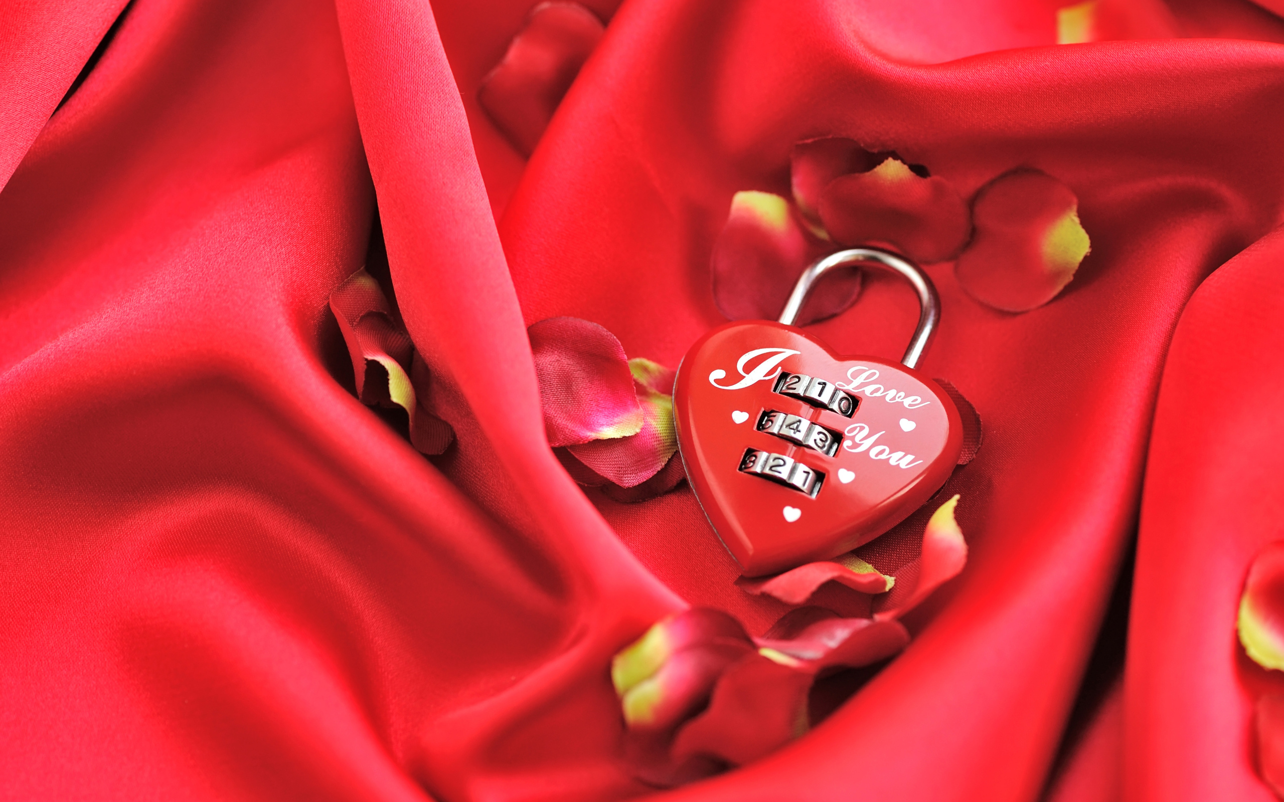 Кодовый замок в форме сердца на красном фоне с лепестками розы