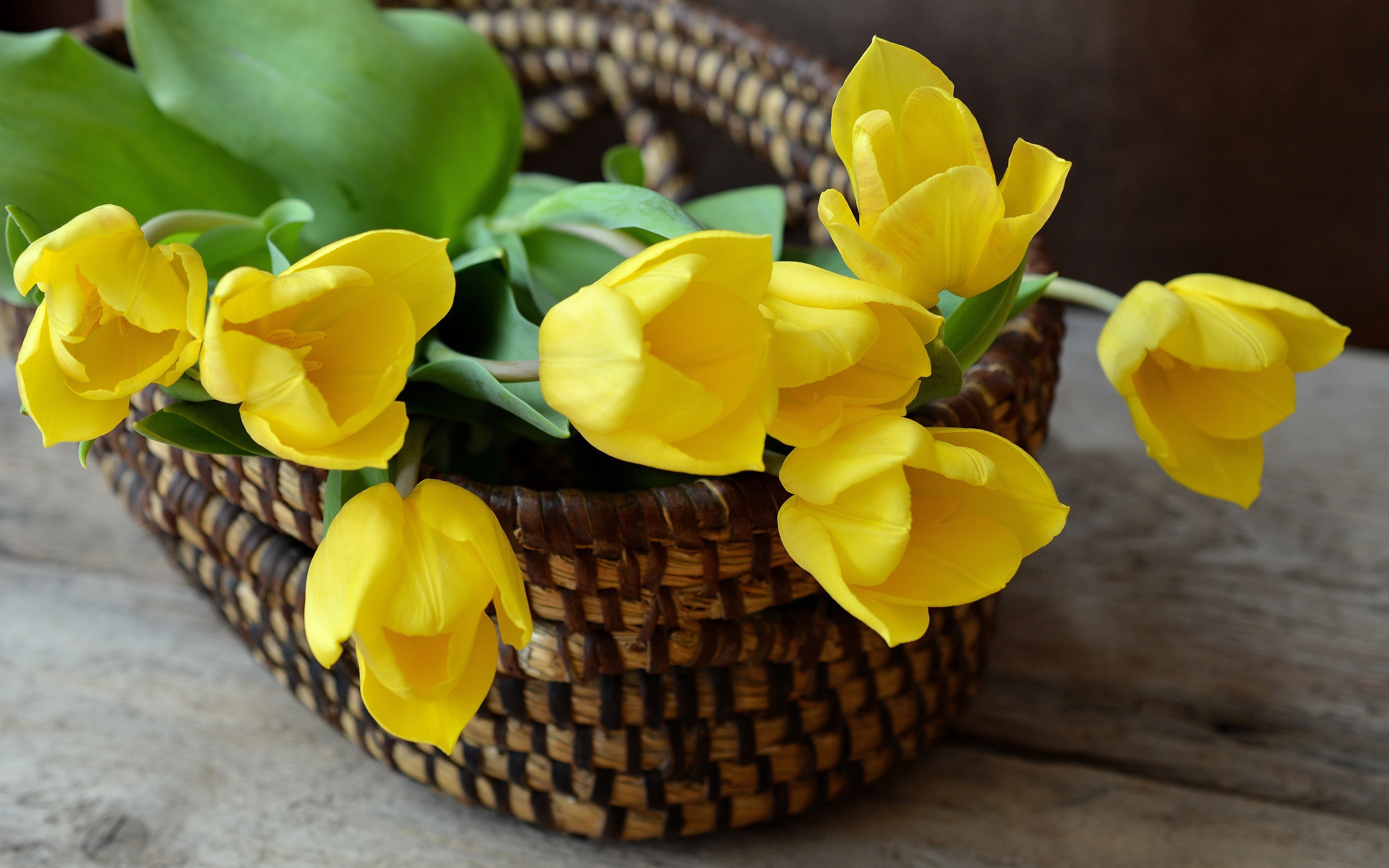 A bouquet of yellow tulips in a basket