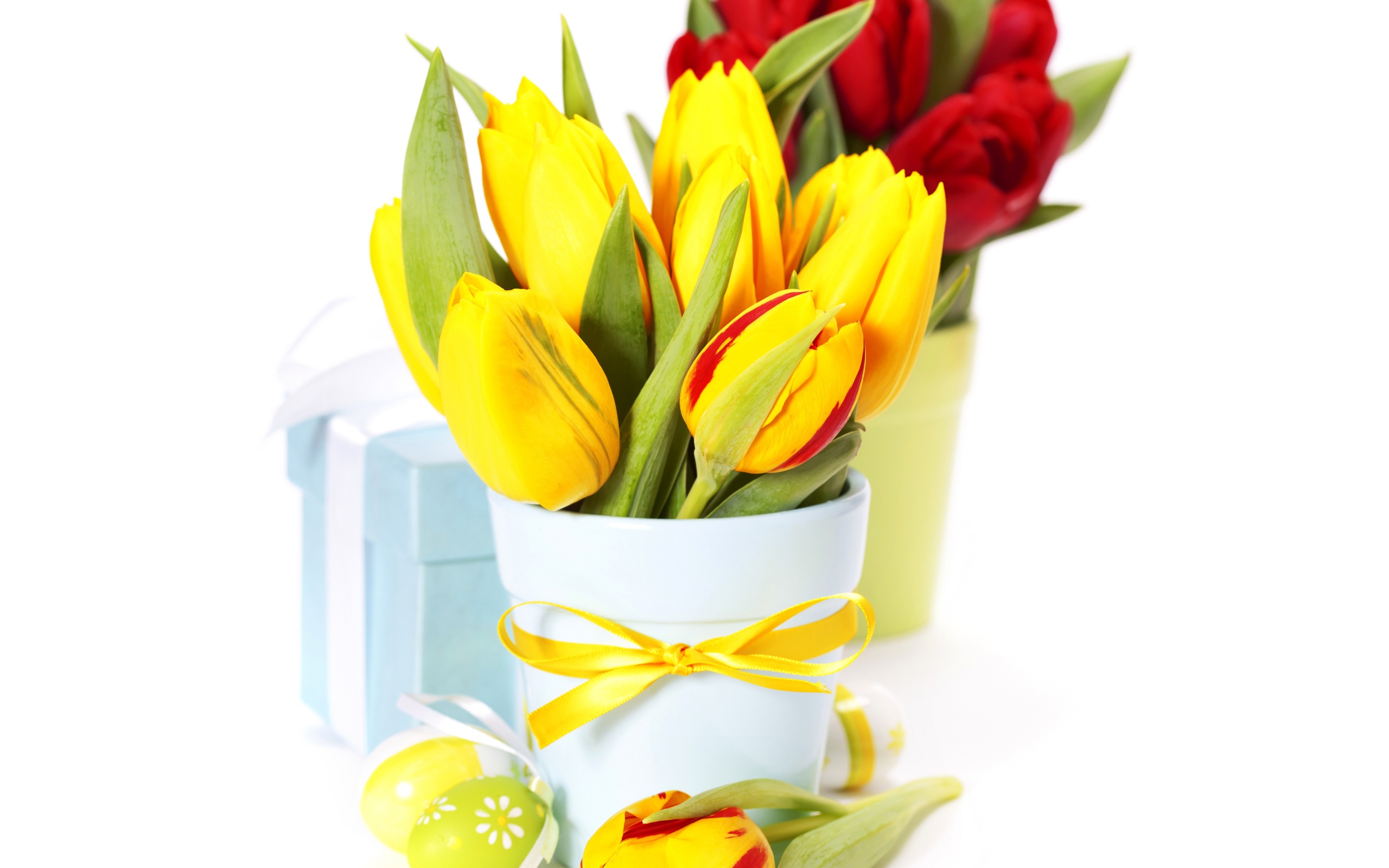 Букет красных и желтых тюльпанов на белом фоне на Пасху