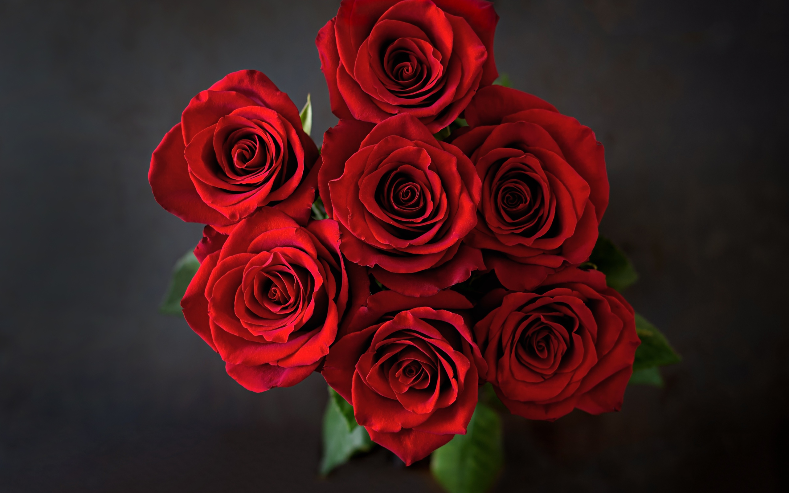Bouquet of red roses on a gray background top view
