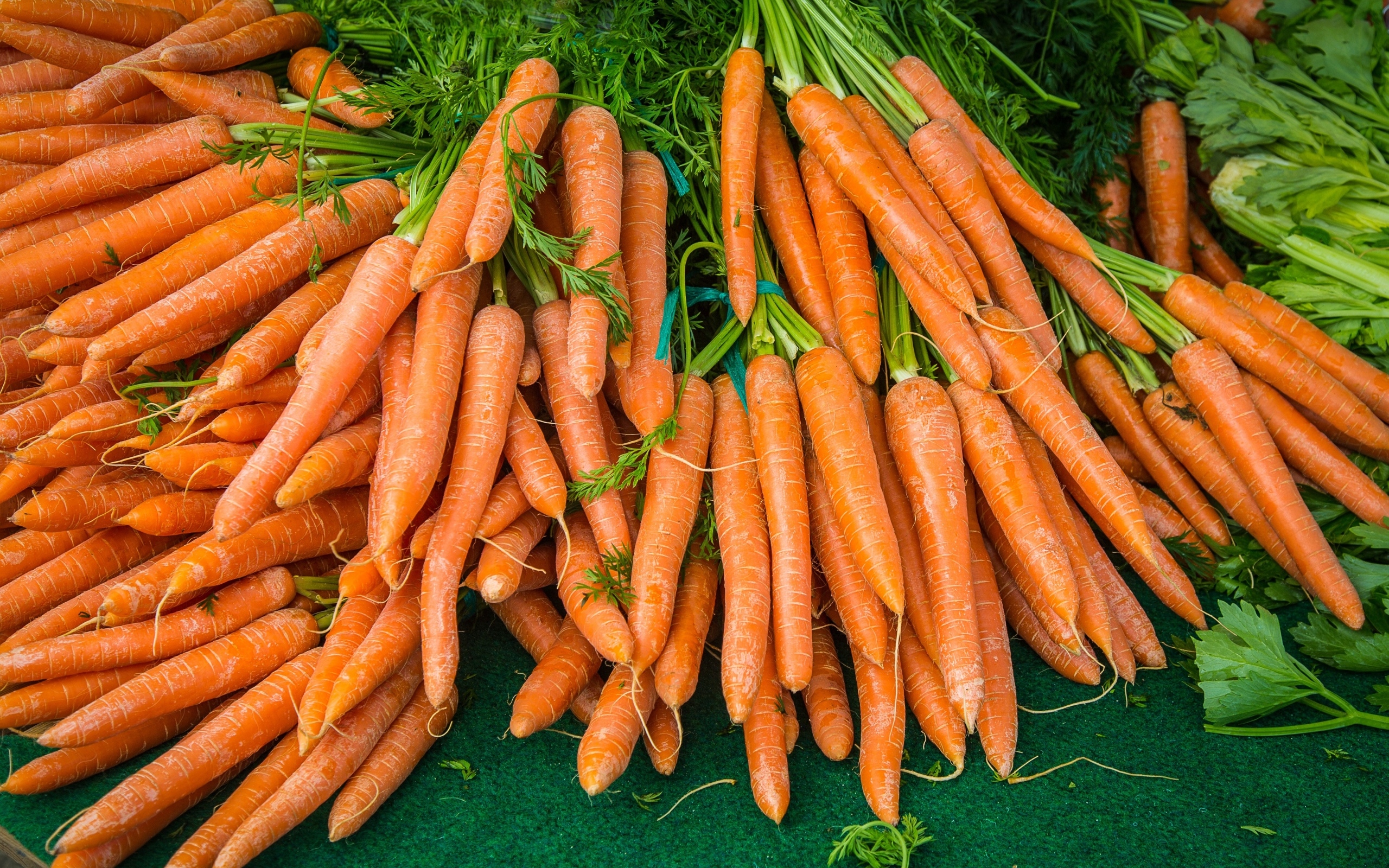 Много оранжевой моркови