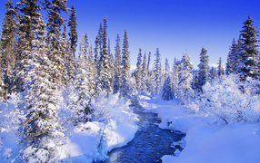 Зима Лесная река