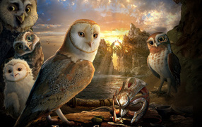 Legend of the Guardians The Owls of Ga’Hoole