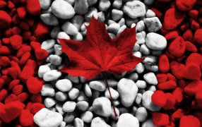 Креативный канадский флаг