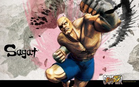 Sagat Street Fighter IV