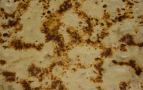 Oily pancake