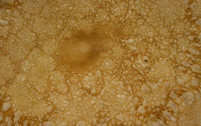 Pancakes texture