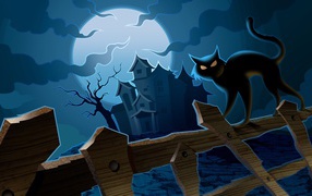 Черный кот на хэллоуин