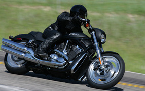 Harley Davidson black racer