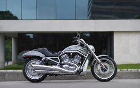 Harley Davidson power