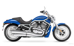 Harley Davidson speed power beauty