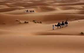Walking through the desert